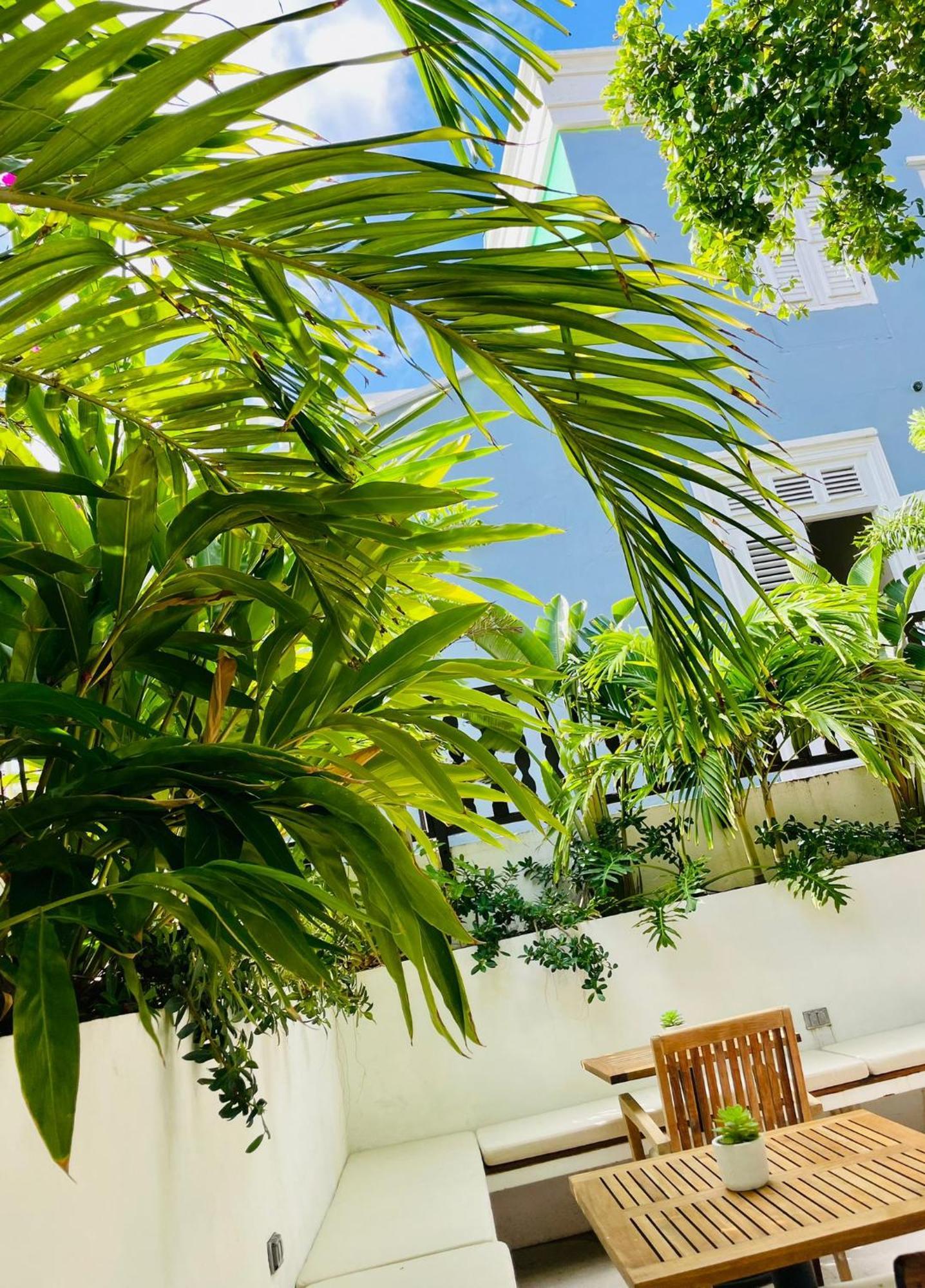 Atelier Skalo Boutique Hotel Вилемстад Екстериор снимка